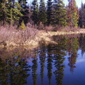 Gump Lake Reflections