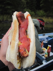 Nothing better than a fully furnished hotdog