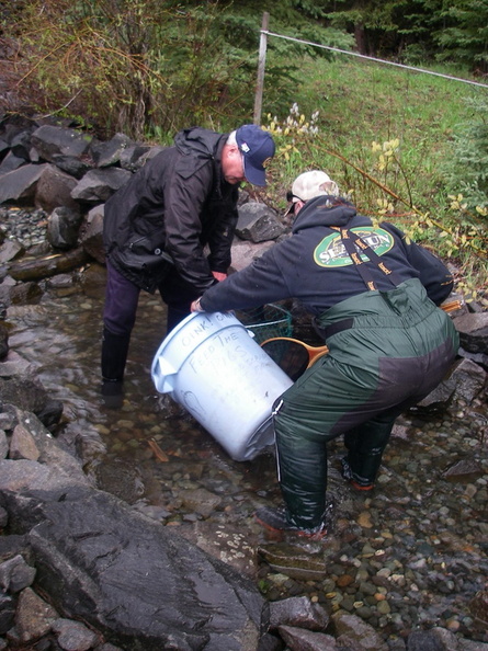 Just Alan and PK rustling up spawners after the channels waterpump failed.