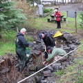 Marilyn looks for escapees as the boys finish up. The culverts under the road to the lake held quite a few fish that Alan scoope