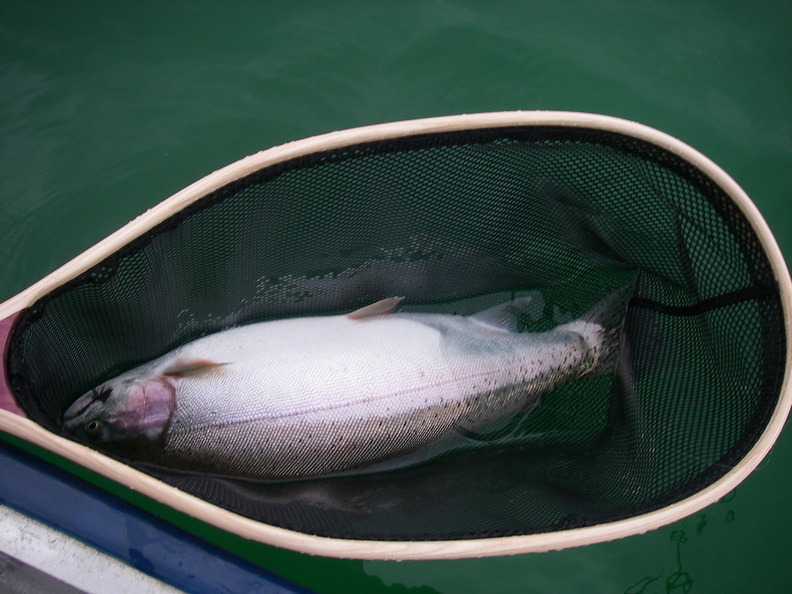 A Fat Sheridan &quot;Middle Weight&quot; in the gullet of the Moby Crane.