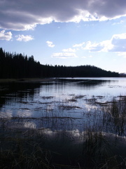 Lil lake