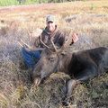 My  Moose Oct 2012 004