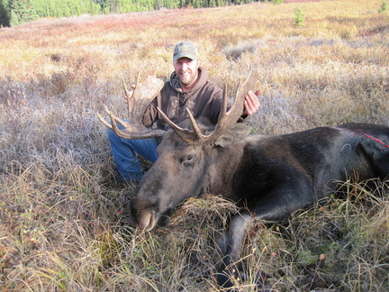 My  Moose Oct 2012 004