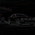 Mustang_245.jpg