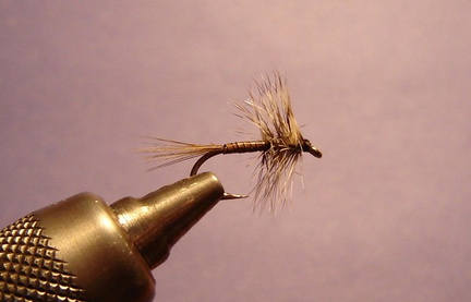 Quill Fly 2