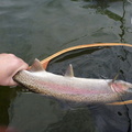First Rainbow of the Trip