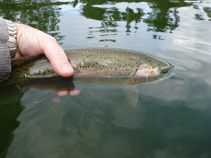 Rainbow just before release