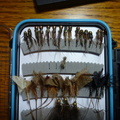 What the used flies in the flybox looked like