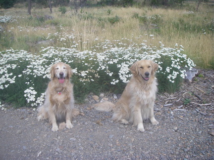 Upon arrival, both Sage and Jade pose for a photo