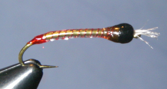Larva Lace on bare hook chronomid (Red butt and red rib)