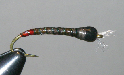 olive green spanflex chrinomid with red butt and green wire rib.