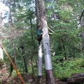 A camp we found where food and supplies are cached up in the trees to protect them from bears and other critters.