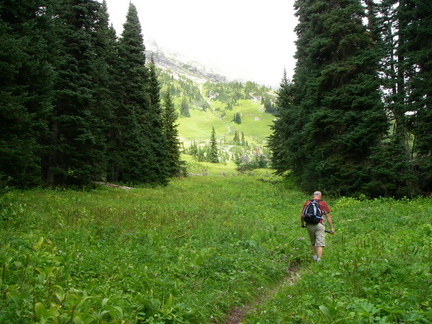 A look at the path through the alpine meadows.