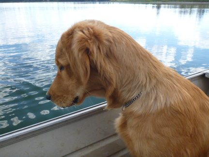 Max at attention.  He took to the boat well.  Freaked out of fish the first day, but loved the boat and fishing by the end