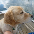 Sage showing his age in the boat