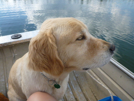 Sage showing his age in the boat