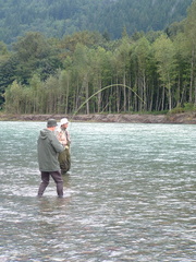 Godfather's first pacific salmon, a v. nice pink from the Squamish