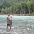 Godfather's first pacific salmon, a v. nice pink from the Squamish