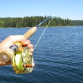 Fishing 053