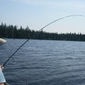 Fishing 084