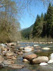 Seymour River