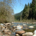 Seymour River
