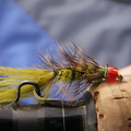 &quot;The Fly&quot; Fall FishIn 2007