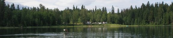 Eagle fishing
