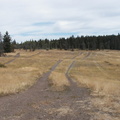 The Dirtbike track