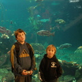 Aquarium005.JPG