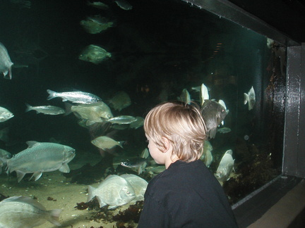 Aquarium CW055.JPG