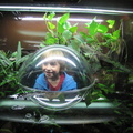 GW in the Toad tank