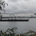 Olmypic Rings in hte Harbour