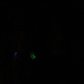 Midnight swim 2 with glow sticks