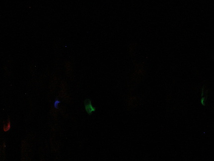 Midnight swim 2 with glow sticks