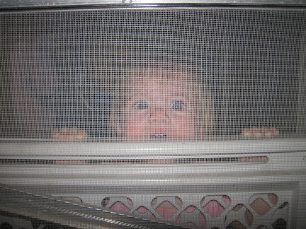trapped behind the screen door