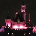 Sleeping Beauty Castle at night

