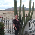 Hangin with the cacti