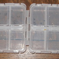 Bead Box donated by Galilee Fly &amp; Tackle