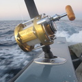 and the reel to match