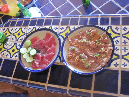Yellow Fin Tuna Sashmi &amp; Ceviche
