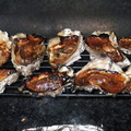Smoked_Oysters_2.jpg
