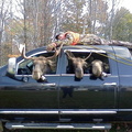 Newfie Moose Hunting Trip