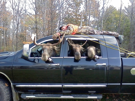 Newfie Moose Hunting Trip