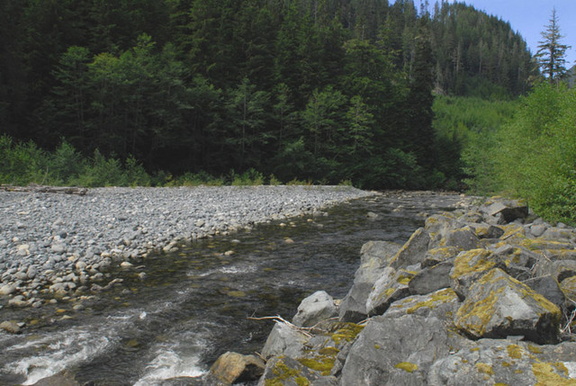 Tsitika at campsite 2