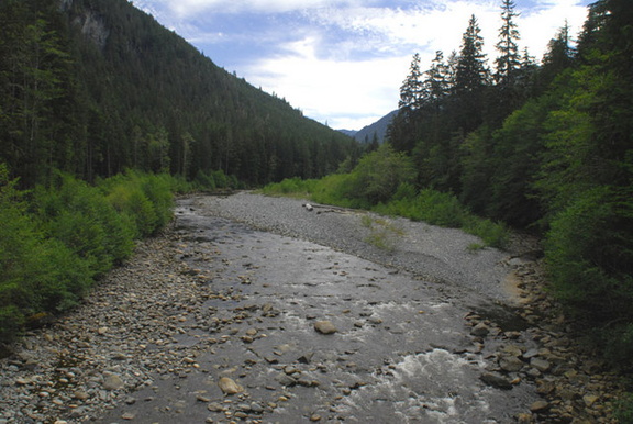 Tsitika lower bridge 2