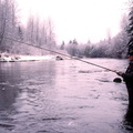 Salmon River 5