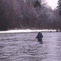 Salmon River 7