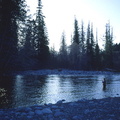 Gold River 1